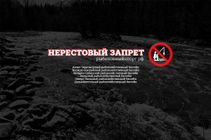 Нерестовый запрет 2024 в Ямало-Ненецком АО