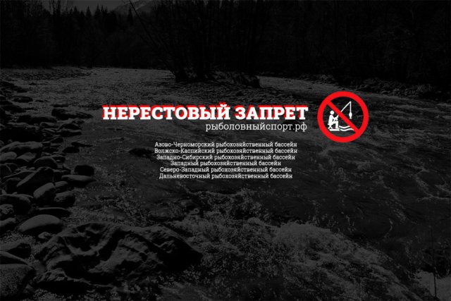 Нерестовый запрет 2024 в Ямало-Ненецком АО